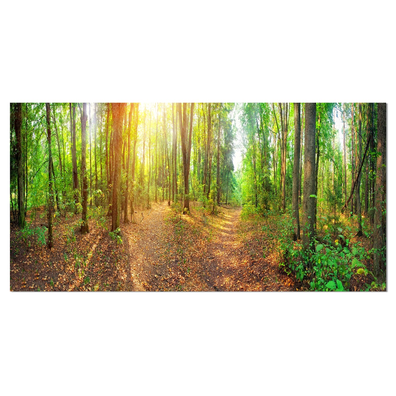 Designart - Dense Forest Panorama - Landscape Canvas Art Print